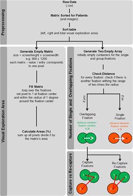 Visual Exploration Area in Neglect: A New Analysis Method for Video-Oculography Data Based on Foveal Vision